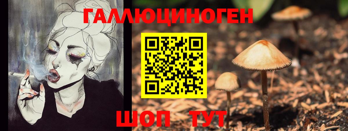 Псилоцибиновые грибы Psilocybe  Псилоцибиновые грибы MAGIC MUSHROOMS  Вход с VPN  Тельмана 